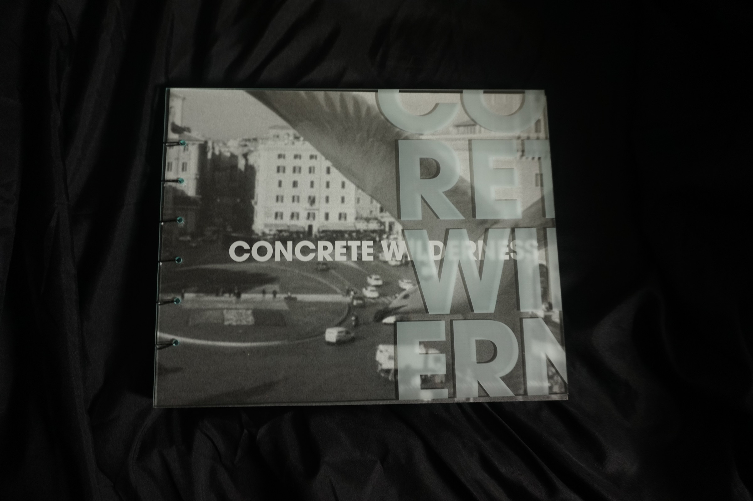 Concrete Wilderness acrylic cover with urban photography and title lettering
